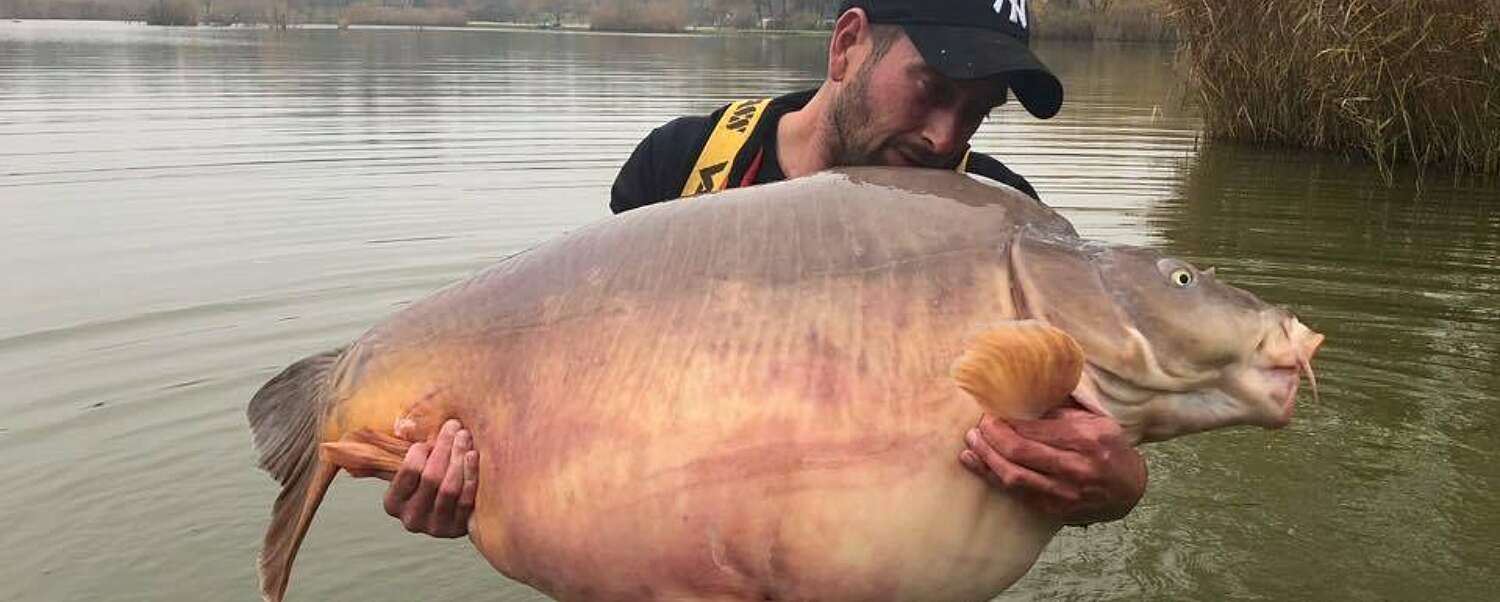 Biggest Carp in the World 112 64lb 51 20kg